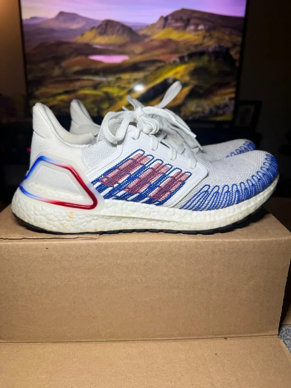 Mens Adidas Ultraboost